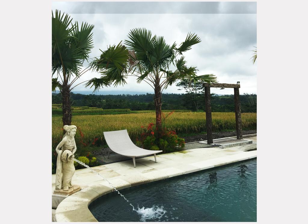 Ti Amo Bali Hotel Jatiluwih Værelse billede