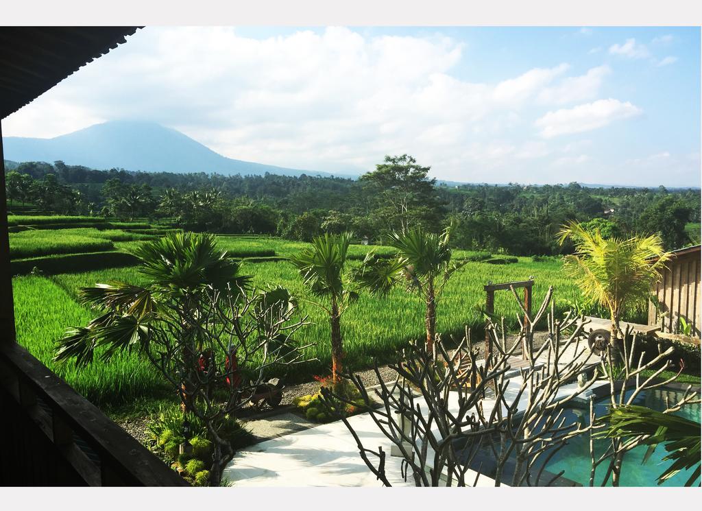 Ti Amo Bali Hotel Jatiluwih Eksteriør billede