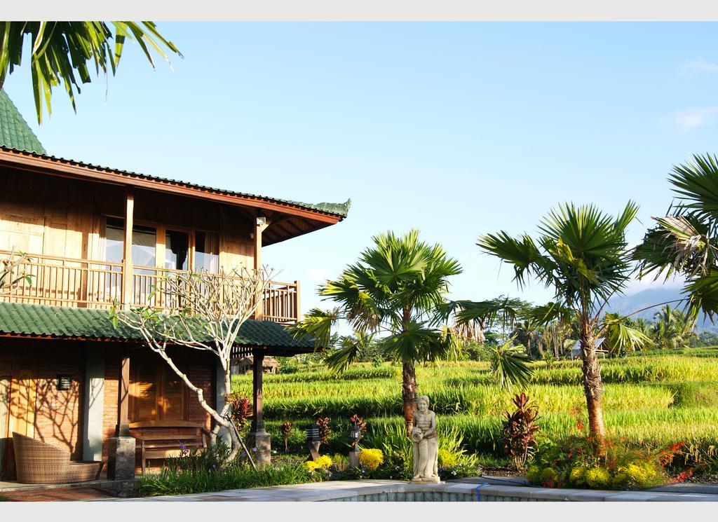 Ti Amo Bali Hotel Jatiluwih Værelse billede