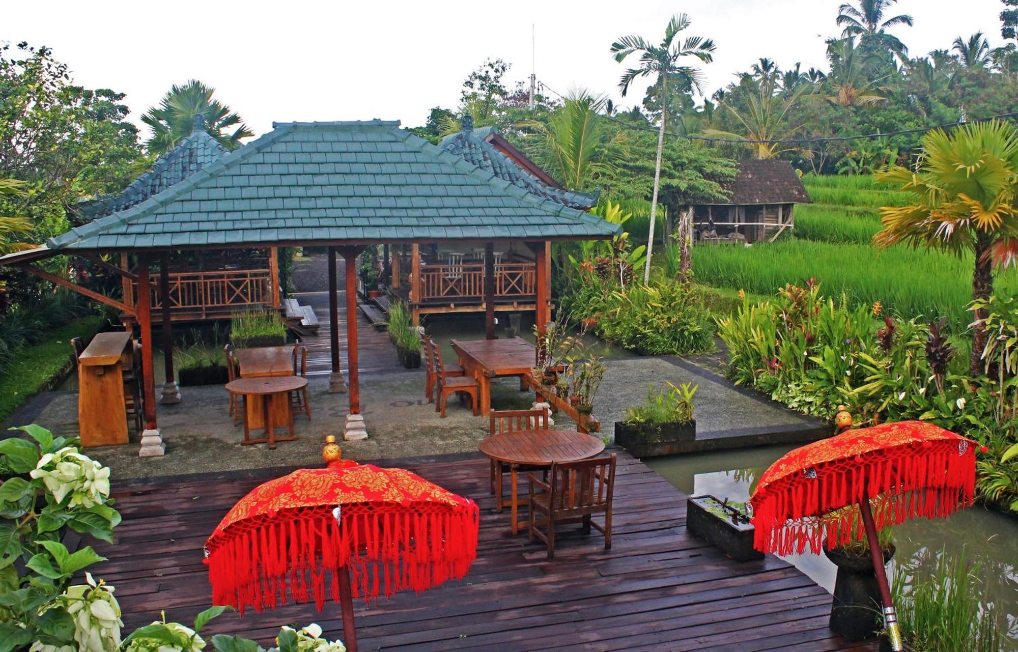 Ti Amo Bali Hotel Jatiluwih Eksteriør billede