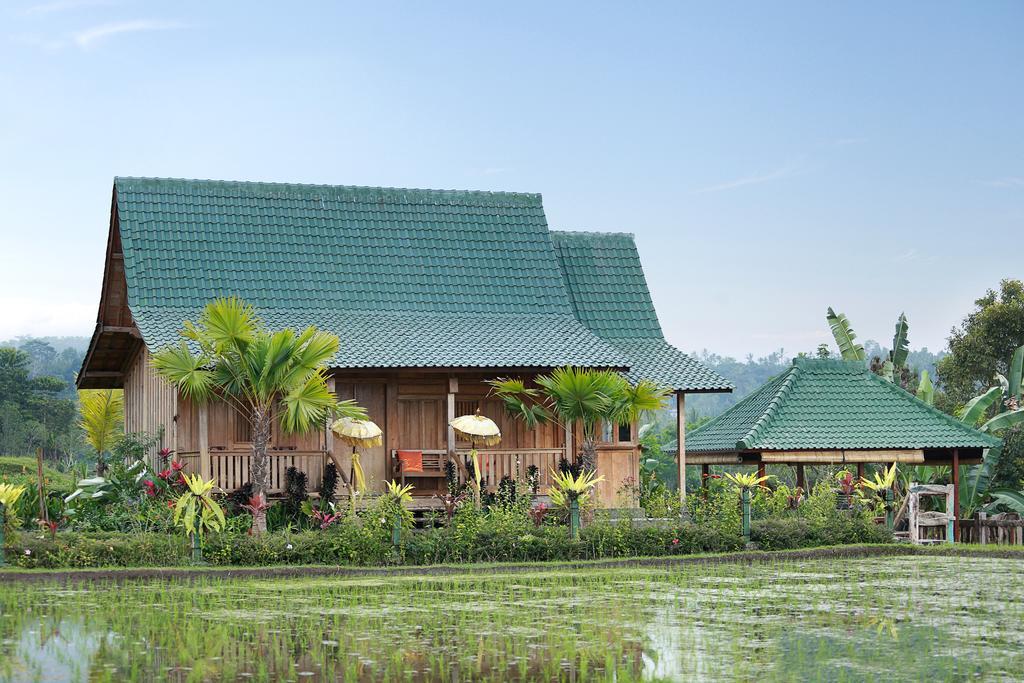 Ti Amo Bali Hotel Jatiluwih Eksteriør billede