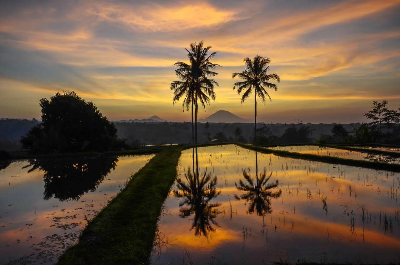 Ti Amo Bali Hotel Jatiluwih Eksteriør billede