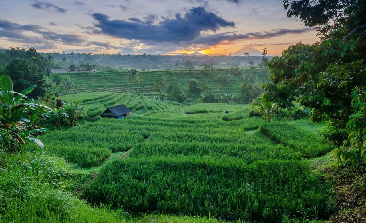 Ti Amo Bali Hotel Jatiluwih Eksteriør billede